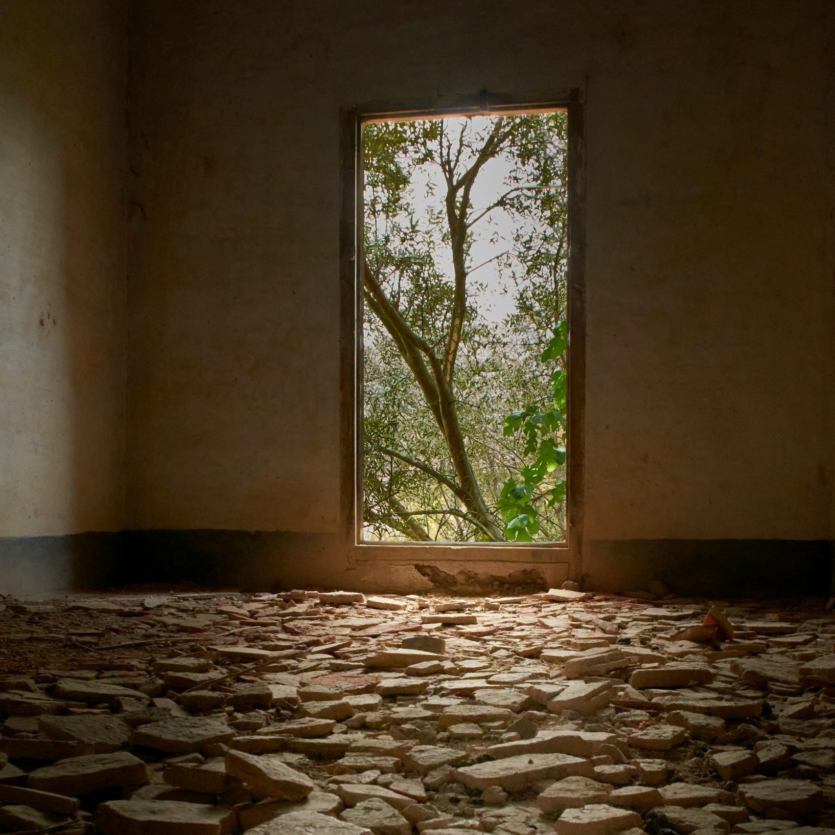 Zwischen Zerfall und Aufbruch: Wege in eine resiliente Zukunft