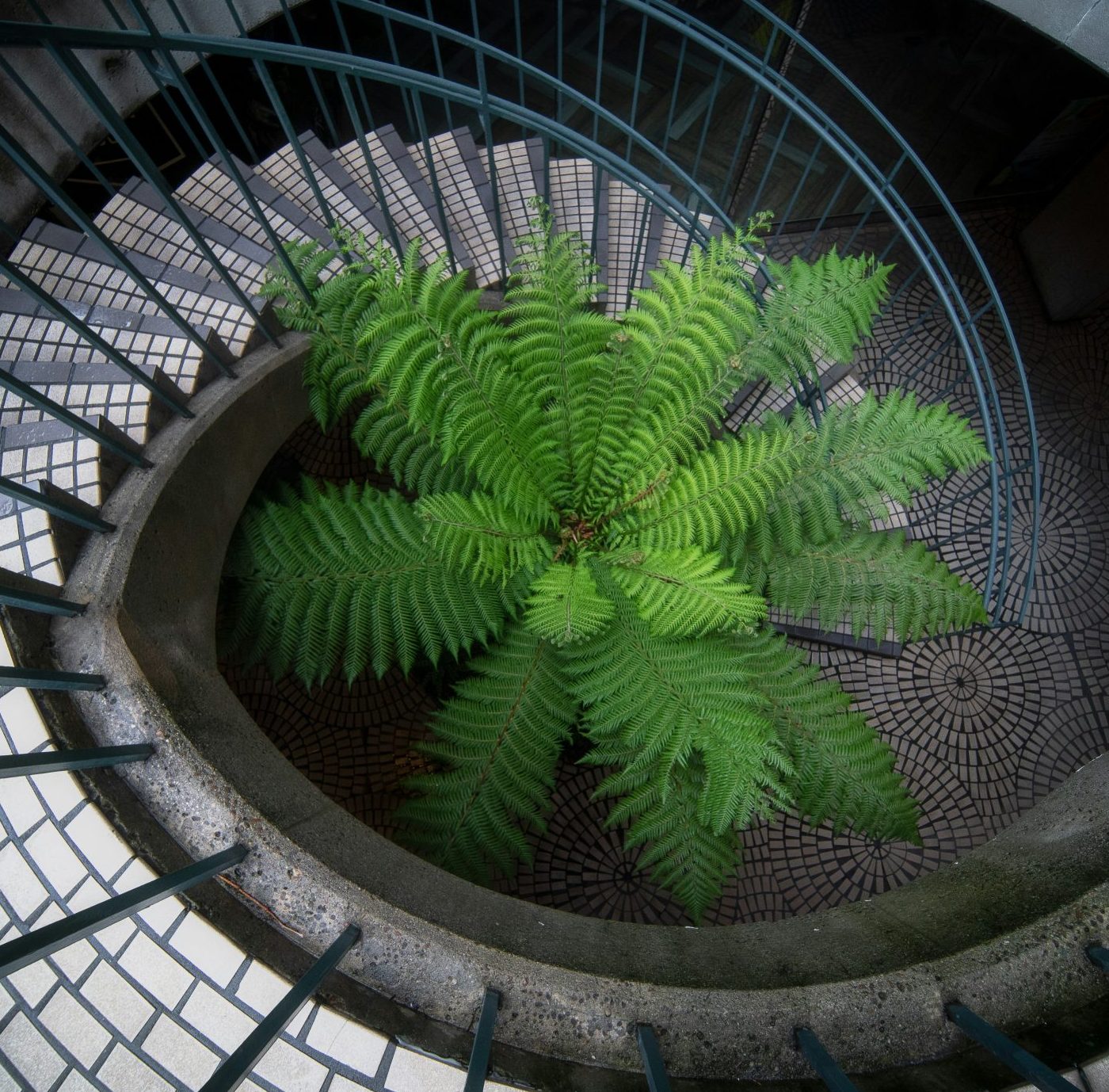 Schritte in die Zukunft