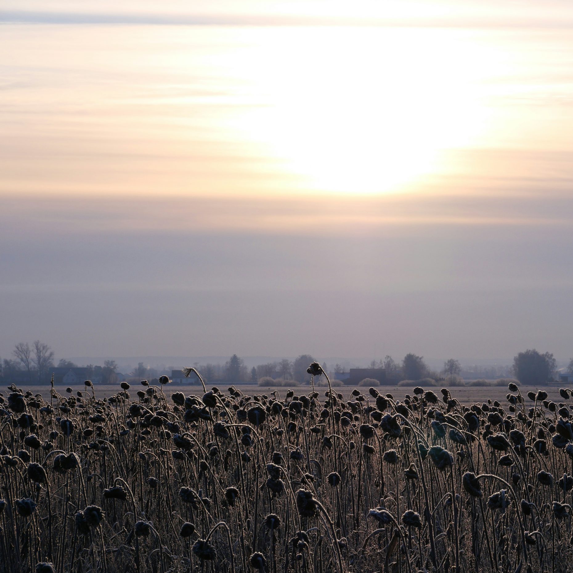 Vor der Planetarisierung