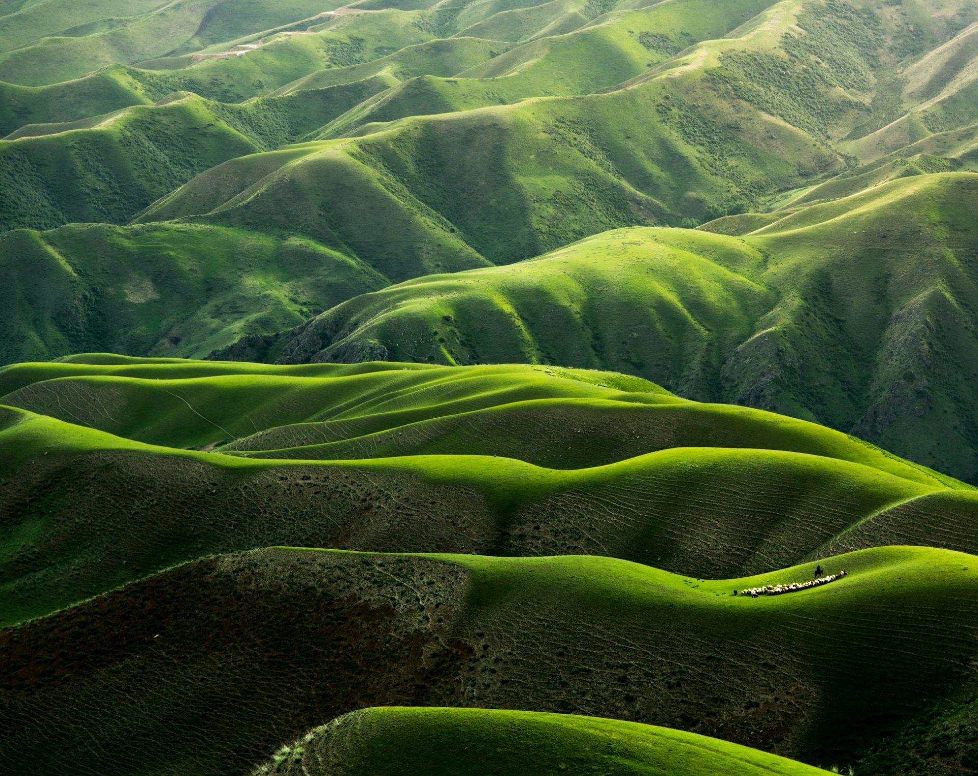 Planetarisierung – ein Bekenntnis